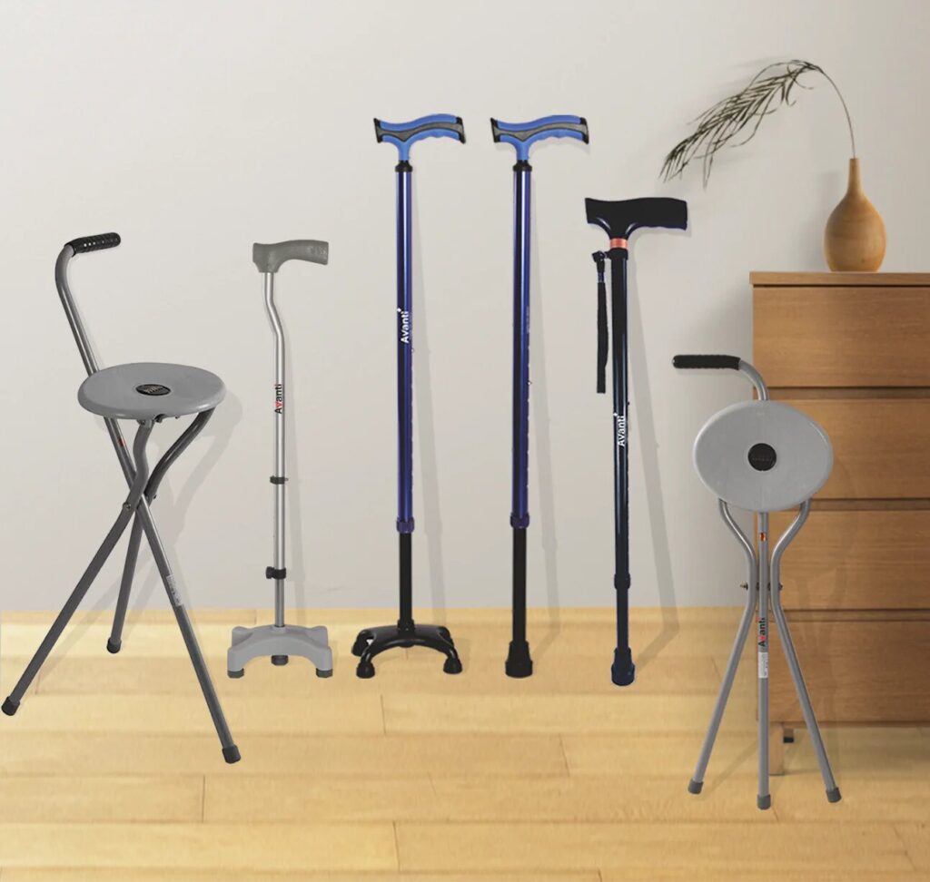 Walking Stick Price in Bangladesh